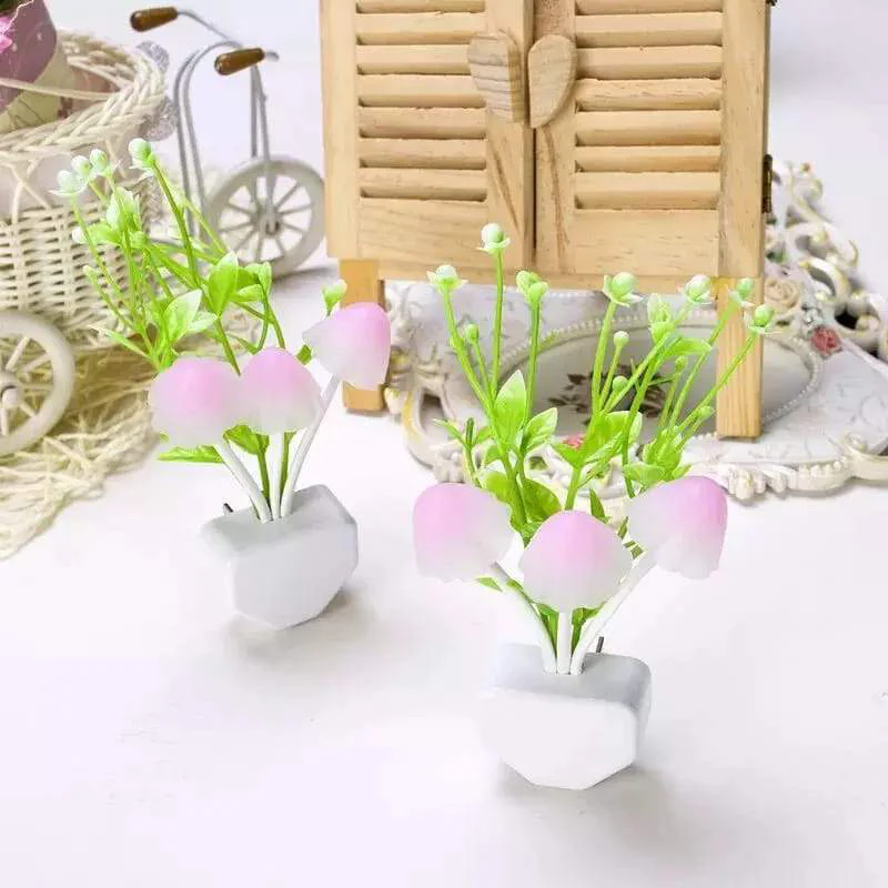 plant 2