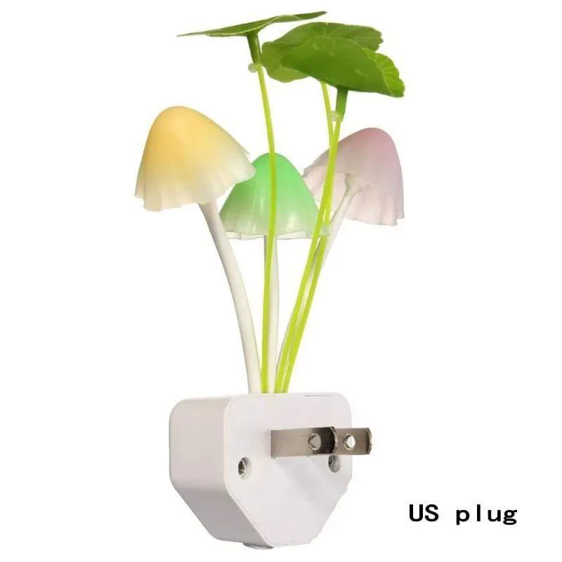 plant 4